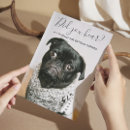 Recherche de de chien mariage invitations Pour tous