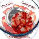 Suche nach scheiben buttons Nahaufnahme