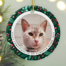 Recherche de pet photo ornements Photo de l'animal