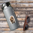 Recherche de écureuil rouge autocollants Mignon