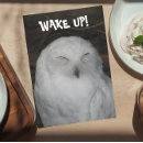 Suche nach owls karten Lustig