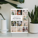 Recherche de collage animaux mémoriaux Animal de compagnie