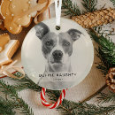 Suche nach naughty ornamente Foto