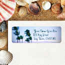 Recherche de palmiers photographie Hawaii