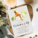 Recherche de oiseau cardinal rouge Célébration de la vie