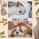 Recherche de chiens mignons cuisine linges Chiot