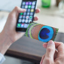 Recherche de oiseau bleu cartes visite Coloré