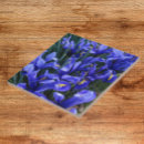 Recherche de miniature carreaux Floral