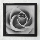 Suche nach blumenblumenblatt Abstrakt