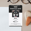Recherche de chien noir Moderne