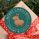 Suche nach capybara aufkleber Tier