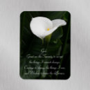 Recherche de calla lilly magnets Pour tous