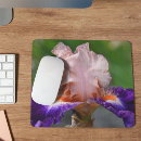 Recherche de pourpre fleur tapis souris Botanique