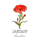 Recherche de janvier tabliers Carnation