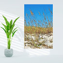 Suche nach walk poster Ozean