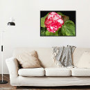 Suche nach begonien poster Blumen