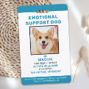 Recherche de identification de compagnon Animal