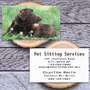 Recherche de labrador retriever cartes visite Vétérinaire