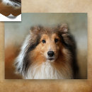 Suche nach sheltie poster Schutz