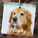 Recherche de elegant animaux mémoriaux ornements Pour tous