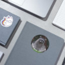 Recherche de racoon autocollants Raccoon