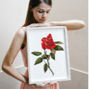 Suche nach vintage rote rosen poster Liebe