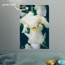 Suche nach iris poster Blumenreich