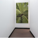 Suche nach botanic poster Blatt