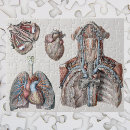 Recherche de organique puzzles Rétro