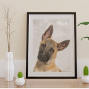 Recherche de chien de berger belge posters Amoureux des animaux