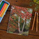 Suche nach fallfarbe Herbstblätter