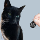 Recherche de funny animaux articles Chaton