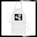Recherche de cuisinier photographie Chef