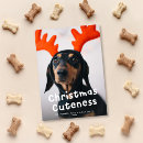 Recherche de blanc noël cartes Animal