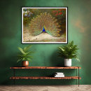 Suche nach vintager pfau poster Vintage pfanne