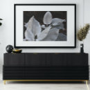 Recherche de plantations posters Feuillage