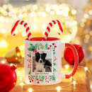 Recherche de chiot de noël tasses Photo de l'animal
