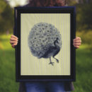 Suche nach vintager pfau poster Natur