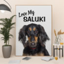 Suche nach saluki poster Hunde