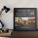 Recherche de compassion animale posters Dog