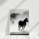 Recherche de cheval noir et blanc posters Chevaux
