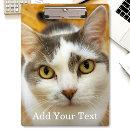 Suche nach zurück zu schule klemmbrett Vorlage