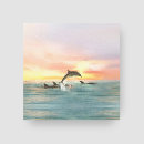 Recherche de toile du soleil Littoral
