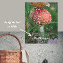 Suche nach rote pilze poster Fliegenpilz