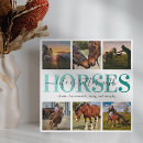 Recherche de cheval plaques Équin