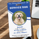 Recherche de chien Simple