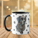 Recherche de labrador retriever noir tasses Chien de chasse