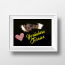 Recherche de yorkshire terrier posters Noir