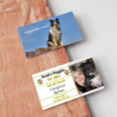 Recherche de chats standard cartes visite Soin des animaux