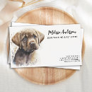 Recherche de labrador cartes visite Animal de compagnie